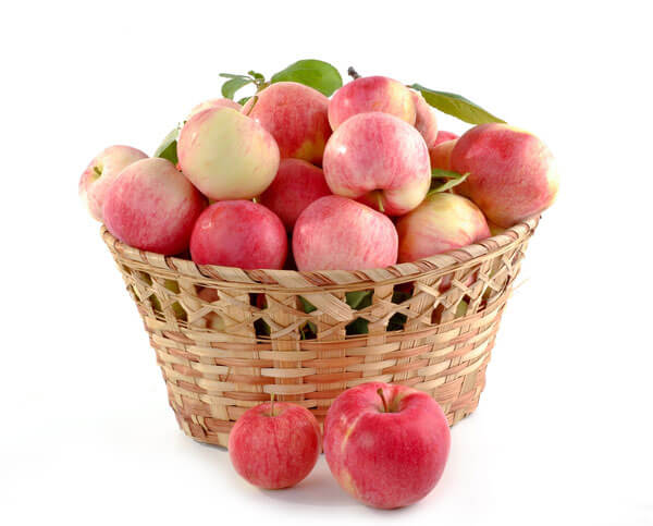 apple apple